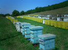CIMG0165