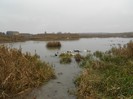 Picture 024