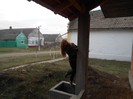 Picture 038