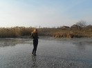 Picture 070