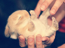 tumblr_lpxnughxuH1qk2s1bo1_500_large
