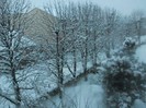 poze 795
