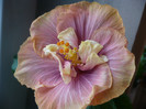 P1110419