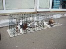DSC09081