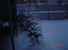 poze 814