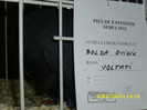 DSCI0607