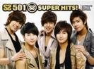 =ss501&hl=ro&prmd=imvnsl&tbm=isch&tbo=u&source=univ&sa=X&4gSdpdCl