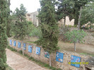 SDC13409