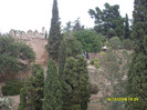 SDC13413