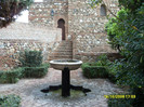 SDC13426