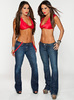 The-Bella-Twins-wwe-divas-26280019-285-384