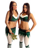 Bella-Twins-wwe-divas-27759179-329-384