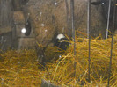 DSCN2352