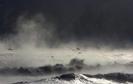 image-2012-02-3-11410844-42-marea-inghetata
