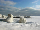 Frozen Black Sea (22)