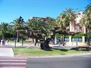 Salou