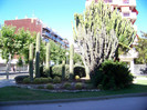 Salou