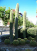 Salou