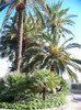 Salou