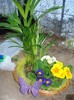 Martie 2011