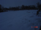poze 875