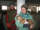 an-ziege- Fam-Pruler -ferma capre