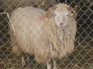DSCN2846