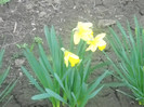DSCN1551