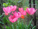 DSCN1643