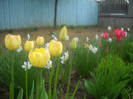 DSCN1644
