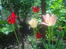 DSCN1719