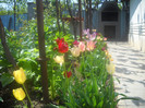 DSCN1725