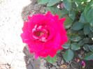 DSCN1770