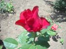 DSCN1772