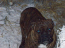 KIKO