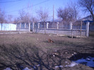 DSCN1398