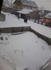curtea mea