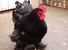 DSCF0389