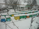 iarna 2012