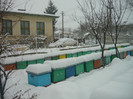 iarna 2012