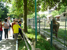 P1180501