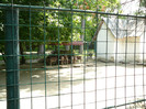 P1180518