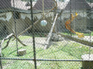 P1180543