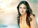 kareena142