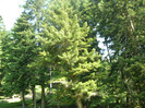 P1180716