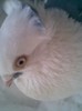 adi_heart_ache@yahoo.com
