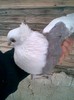 Ady91.sunphoto.ro