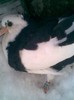 Id meu adi_heart_ache@yahoo.com