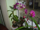 poze 004