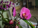 poze 003